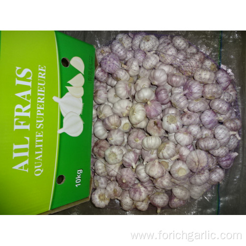 New Normal White Garlic Jinxiang